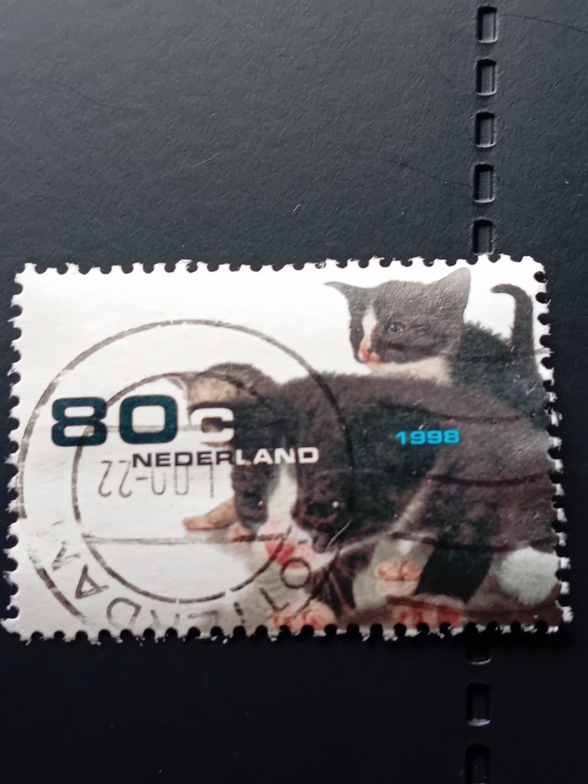 Nederlandse postzegel 1998 - 80c met kittens, Ophalen of Verzenden, Na 1940, Gestempeld