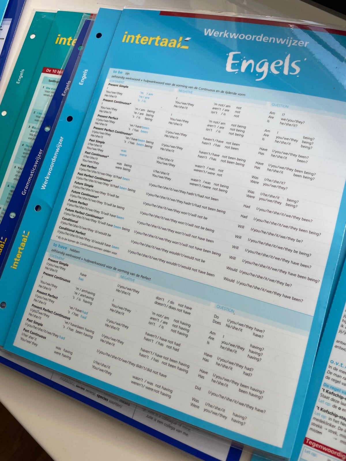Intertaal Werkwoordenwijzer & Spellingwijzer (Engels, Frans,, Ophalen of Verzenden, Zo goed als nieuw, Non-fictie