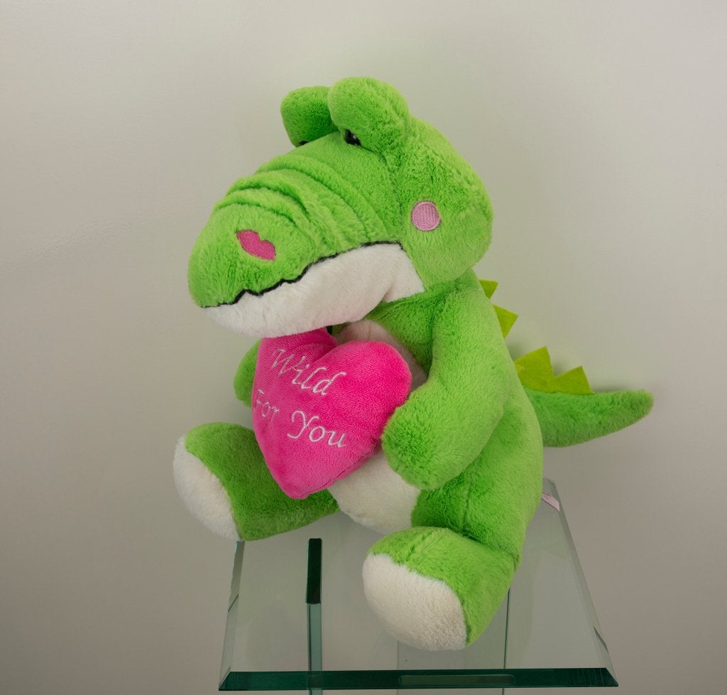 knuffel krokodil, Overige karakters, Overige typen, Nieuw, Ophalen of Verzenden
