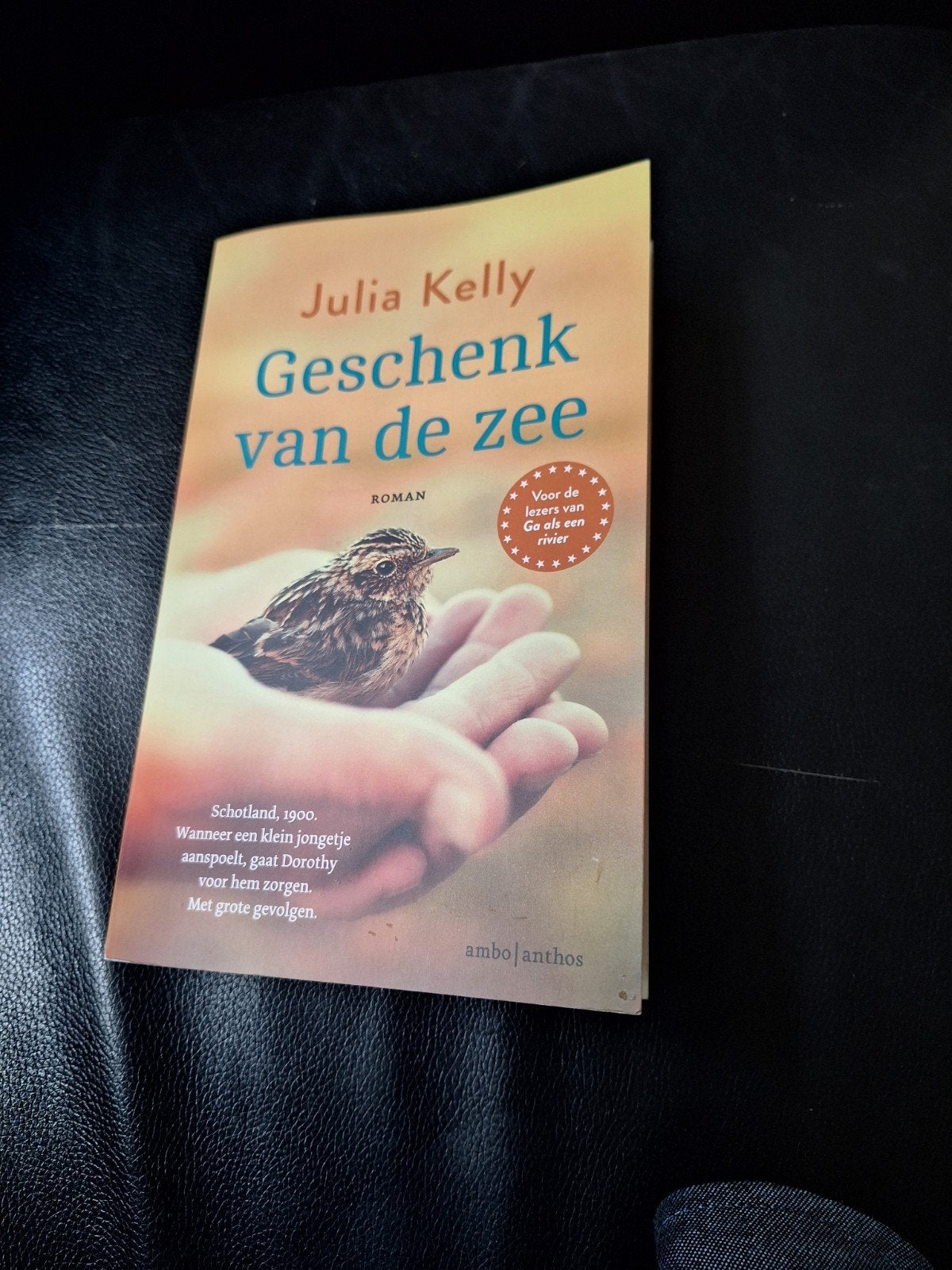 Geschenk van de zee van Julia Kelly, Ophalen of Verzenden, Zo goed als nieuw, Julia Kelly