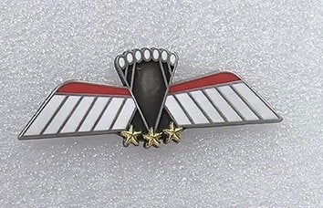 Miniatuur metalen parawing C ops (KCT/MARSOF) gala, Ophalen of Verzenden, Landmacht, Nederland, Lintje, Medaille of Wings