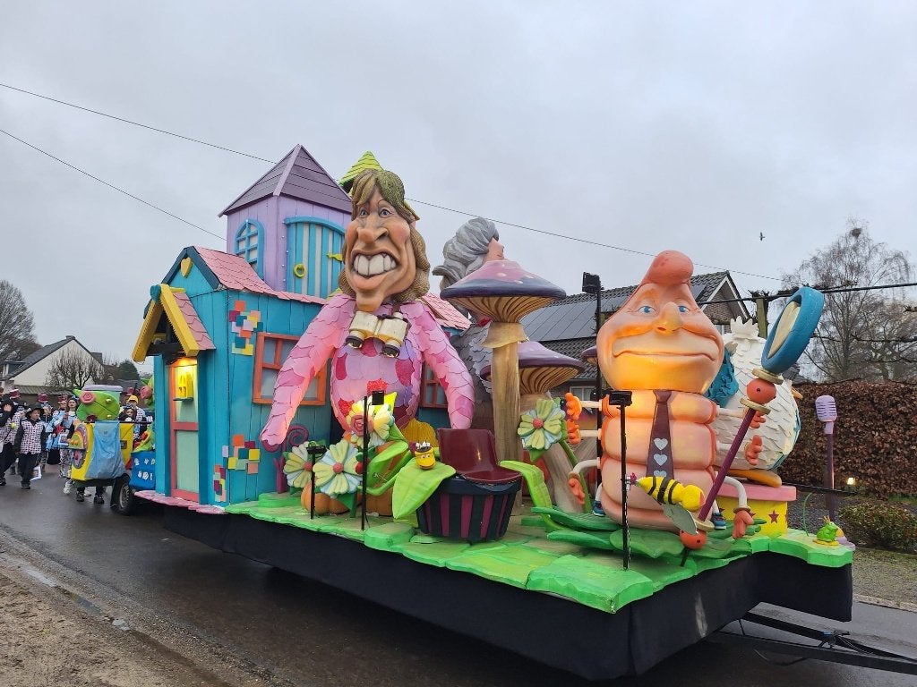 CARNAVALSWAGEN + PRACHTIGE HANDGEMAAKTE KOSTUUMS TE KOOP!, Ophalen, Gebruikt, Overige typen, Carnaval