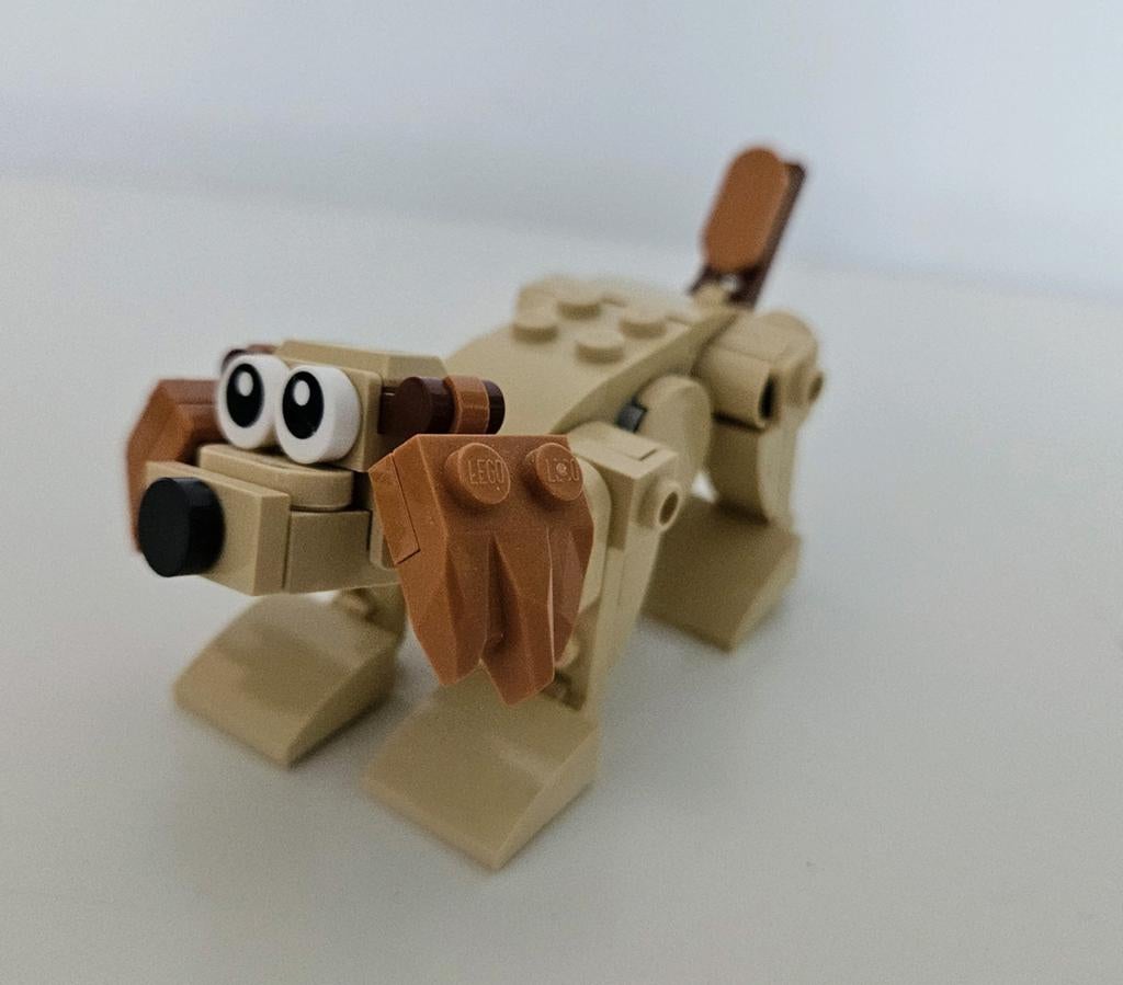 Lego Creator 30666 Hond 3-in-1 met instructies, Lego, Compleet, Ophalen of Verzenden, Zo goed als nieuw
