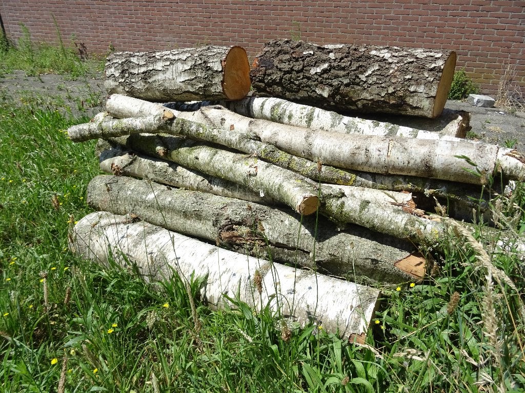 Kachelhout berkenhout te koop, Minder dan 3 m³, Ophalen, Berkenhout, Stammen