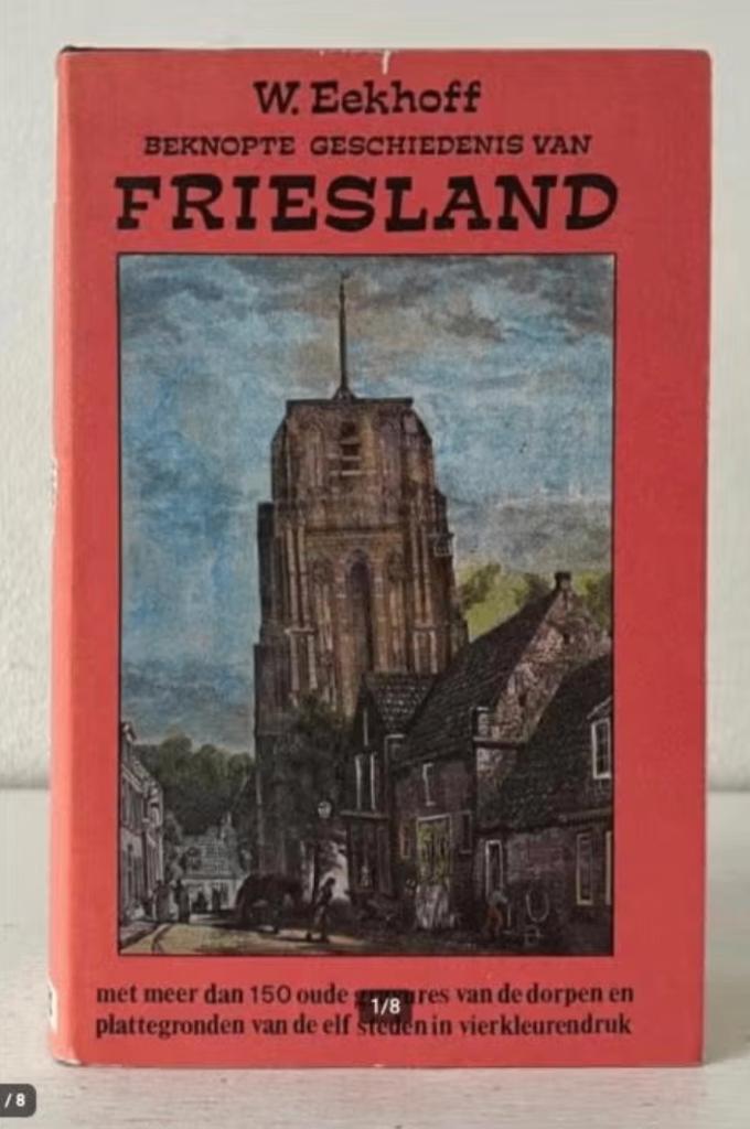 Beknopte geschiedenis van Friesland - W. Eekhoff, Boeken, Ophalen of Verzenden, Gelezen