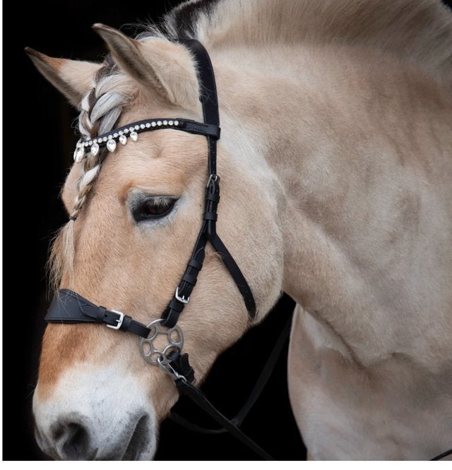 Bitloos hackamore hoofdstel, Dieren en Toebehoren, Hoofdstel, Ophalen of Verzenden, Anatomisch gevormd, Full
