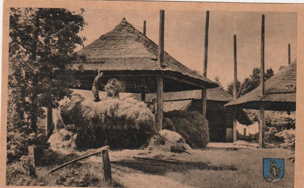 ermelo- op de boerderij, Ophalen of Verzenden, 1940 tot 1960, Gelderland