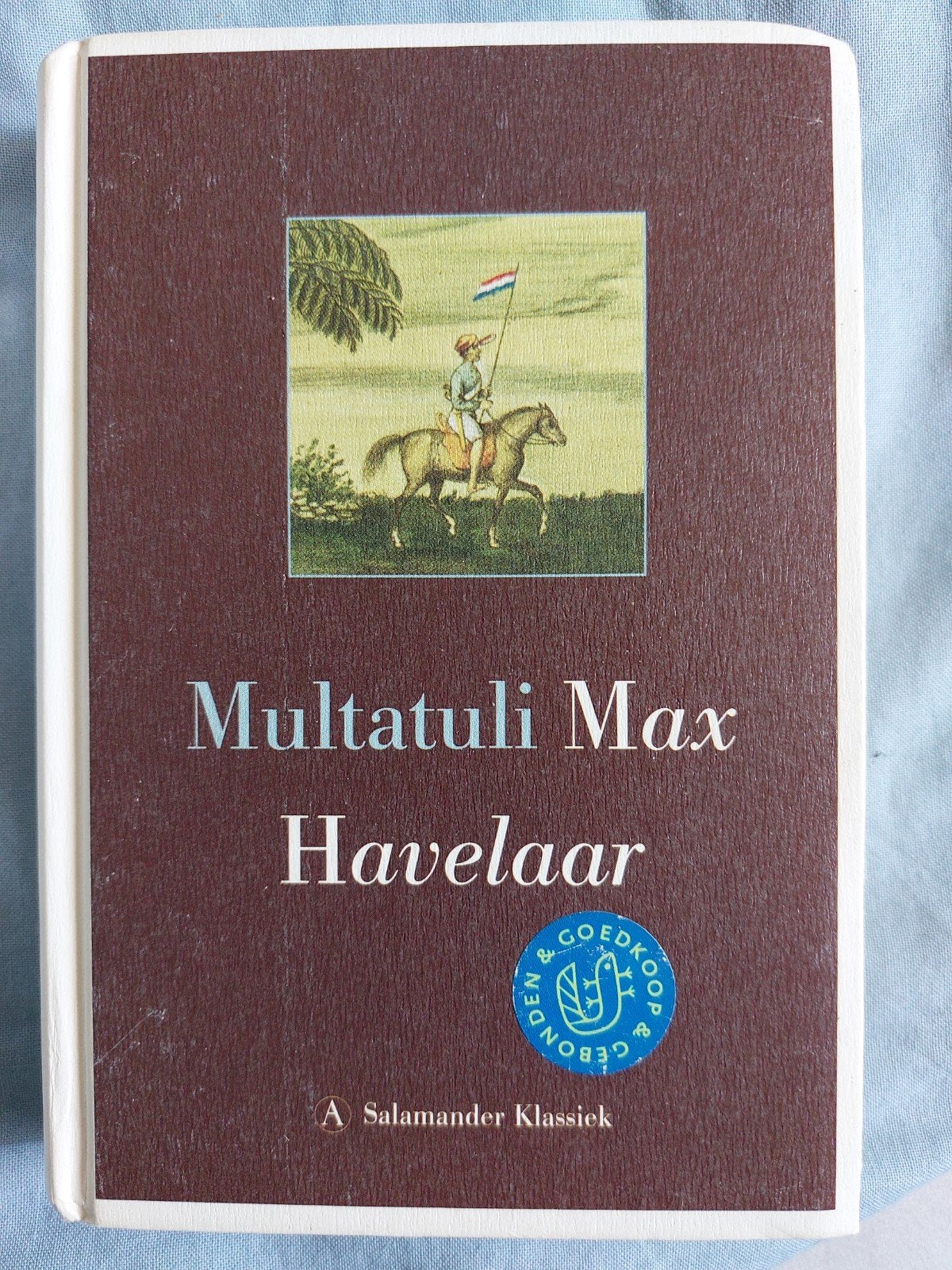 Multatuli Max Havelaar - Salamander Klassiek (nette staat), Boeken, Literatuur, Ophalen of Verzenden, Zo goed als nieuw