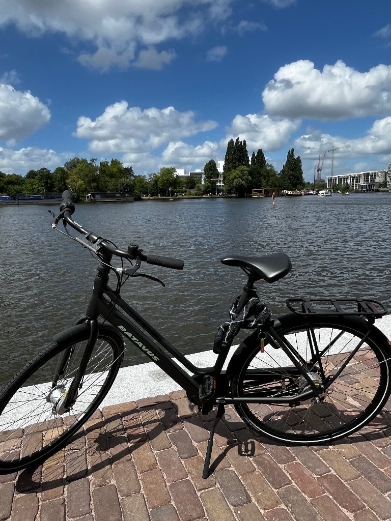 Batavus Fonk N7 (2023), Fietsen en Brommers, Fietsen | Dames | Damesfietsen, Ophalen, Gebruikt, Batavus, Versnellingen