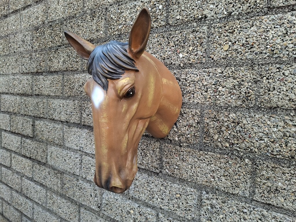 Decoratief Paardenhoofd Wanddecoratie, Ophalen of Verzenden, Zo goed als nieuw