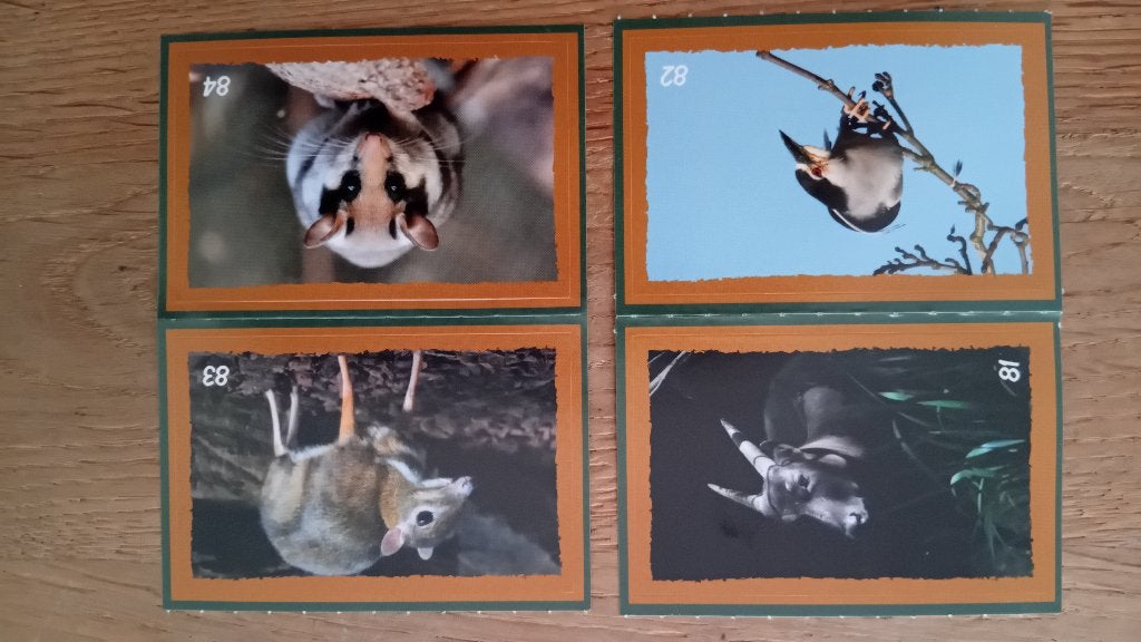 Dekamarkt Artis stickers 81 t/m 84, Verzamelen, Dekamarkt, Verzenden