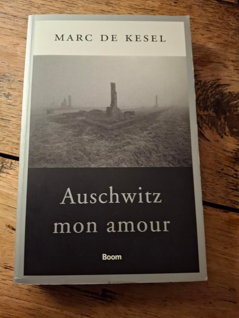 Marc De Kesel - Auschwitz mon amour, Boeken, Filosofie, Gelezen, Ophalen of Verzenden
