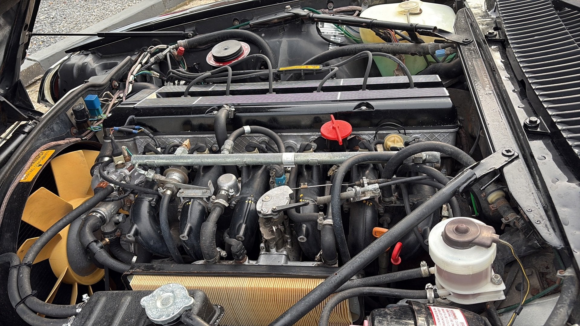Jaguar XJ-SC 3.6 TARGA, foto 12