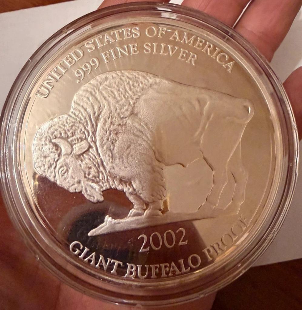 Giant Buffalo Proof 2002 1 Oz 999 zilver, Ophalen of Verzenden, Noord-Amerika, Zilver