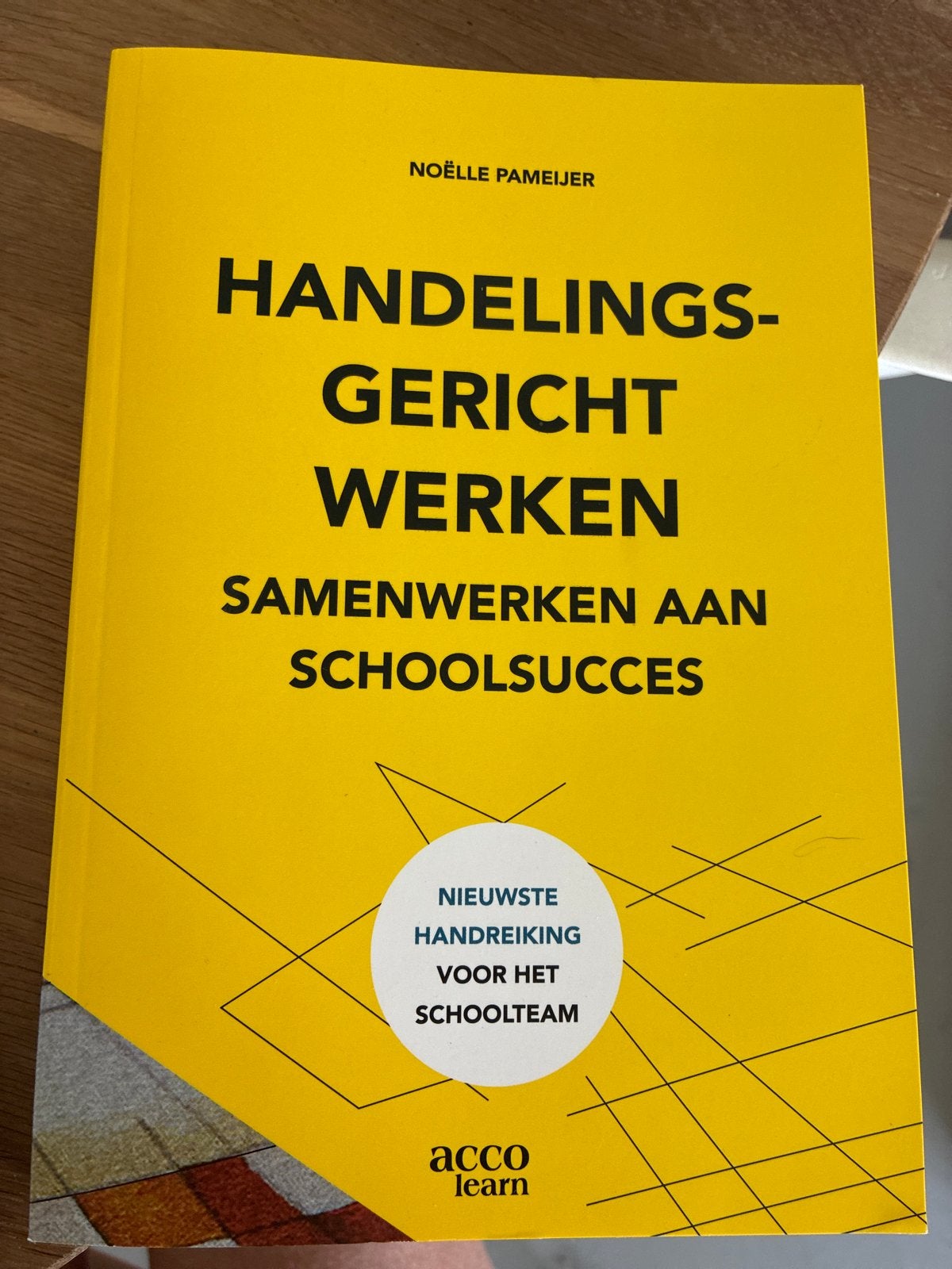 Noëlle Pameijer - Handelingsgericht werken, Ophalen of Verzenden, Zo goed als nieuw, Noëlle Pameijer