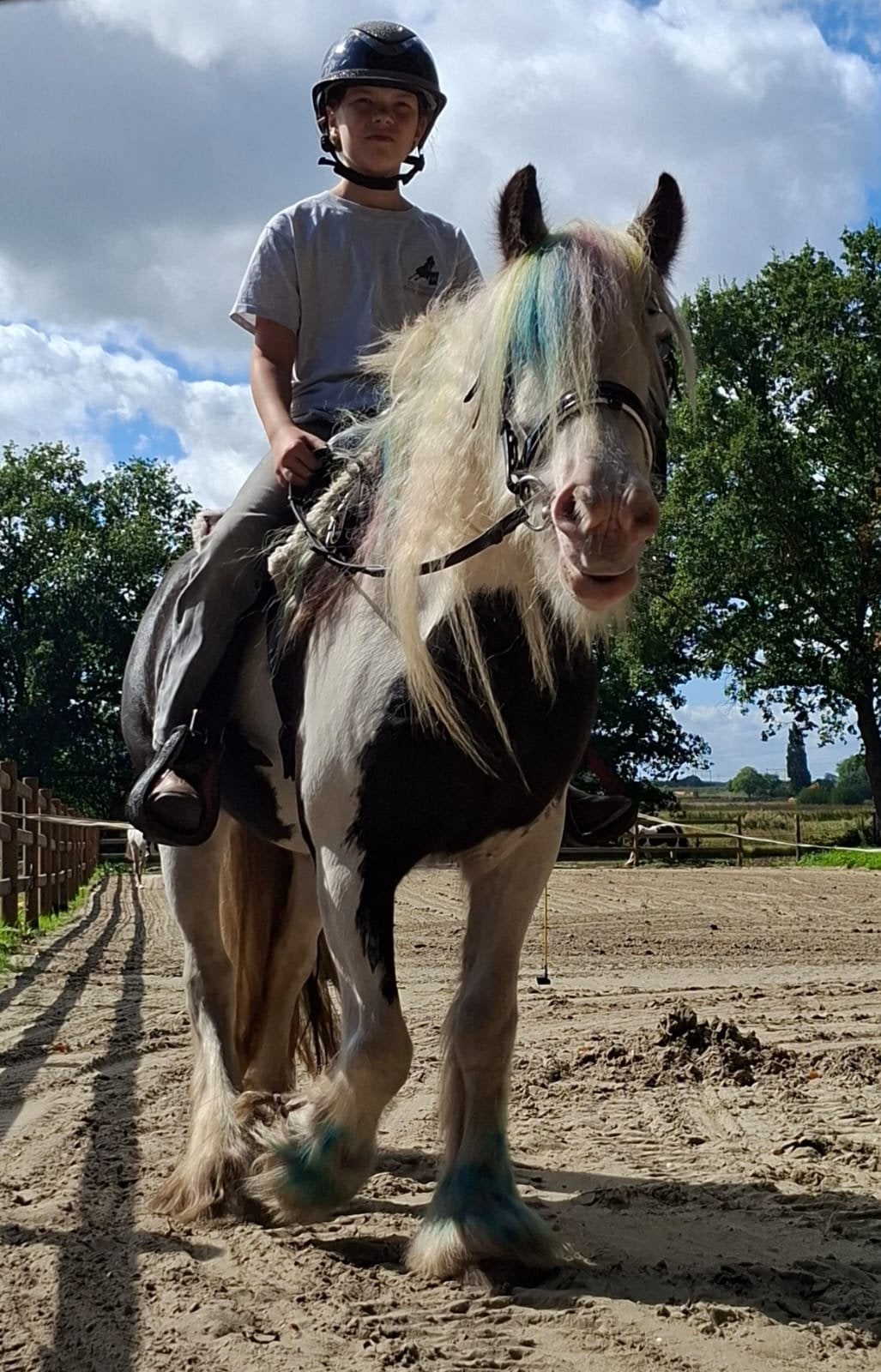 Superleuke Tinker ruin (eventueel tweespan), Dieren en Toebehoren, Pony's, Ruin, Gechipt, 3 tot 6 jaar