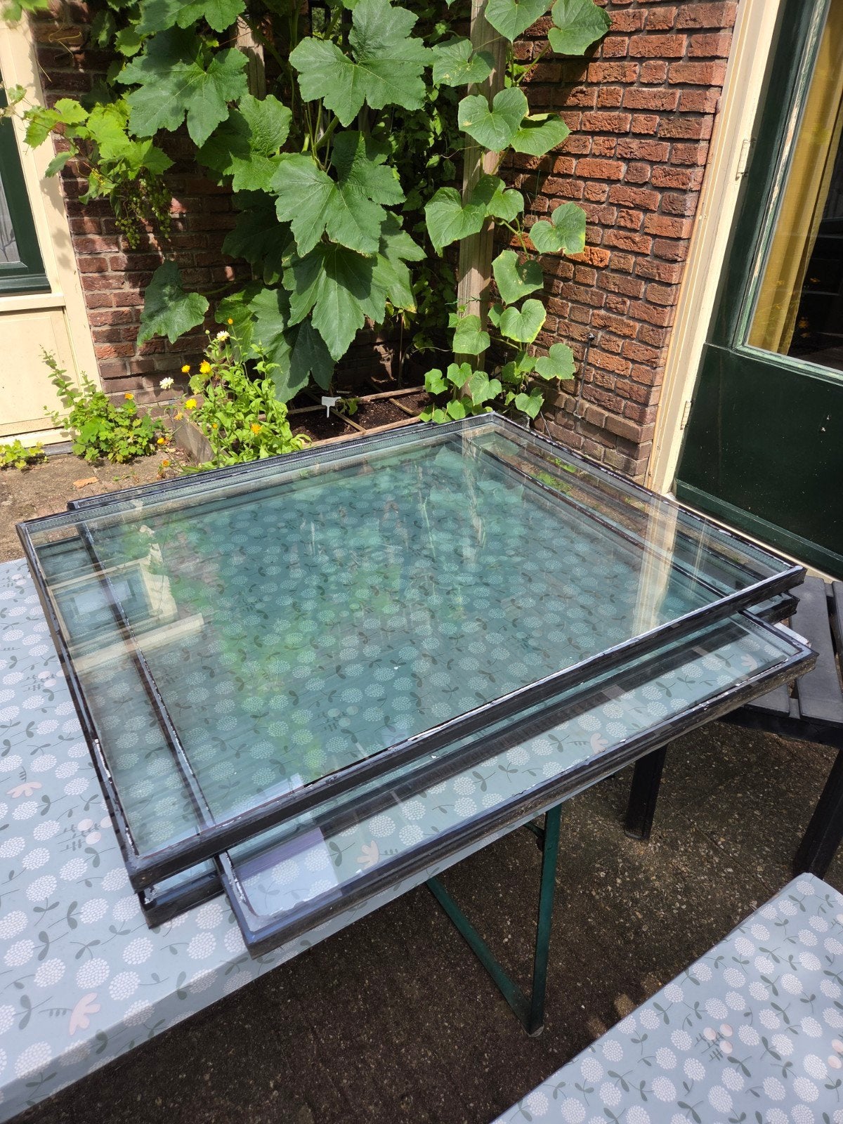 3x HR++ Dubbel Glas Ruiten - 61x76cm, 2cm dik, Ophalen