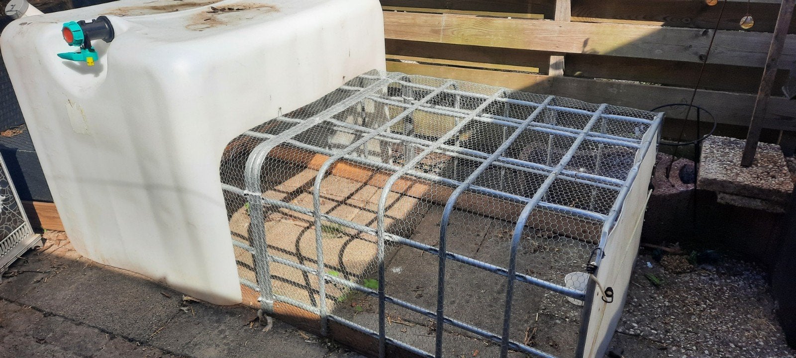 goede kippenren/konijnenren/cavia ren, Ophalen, Gebruikt, Kippenhok of Kippenren