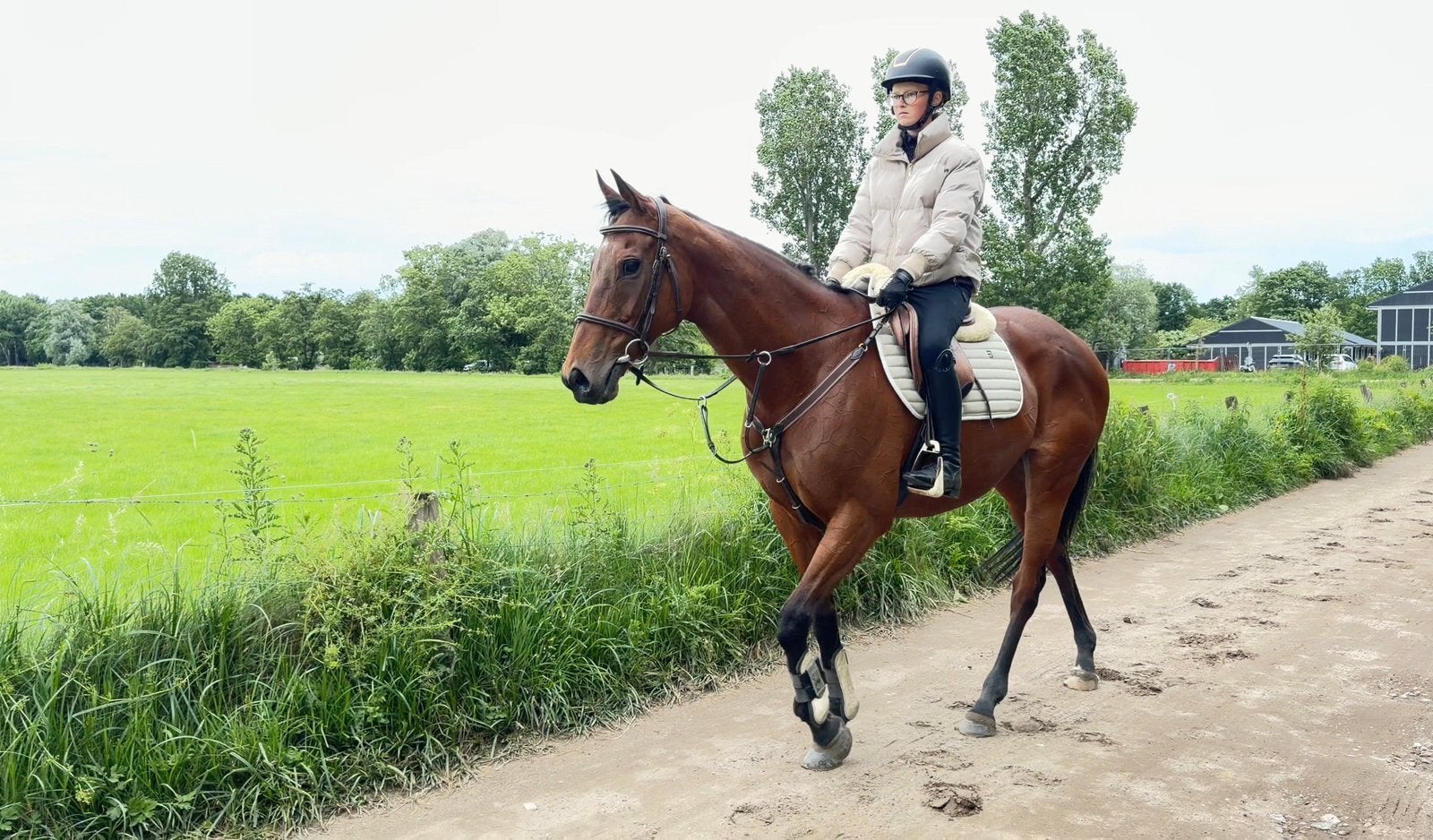 Zeer lieve en zachtaardige merrie 11 jaar!, Merrie, 11 jaar of ouder