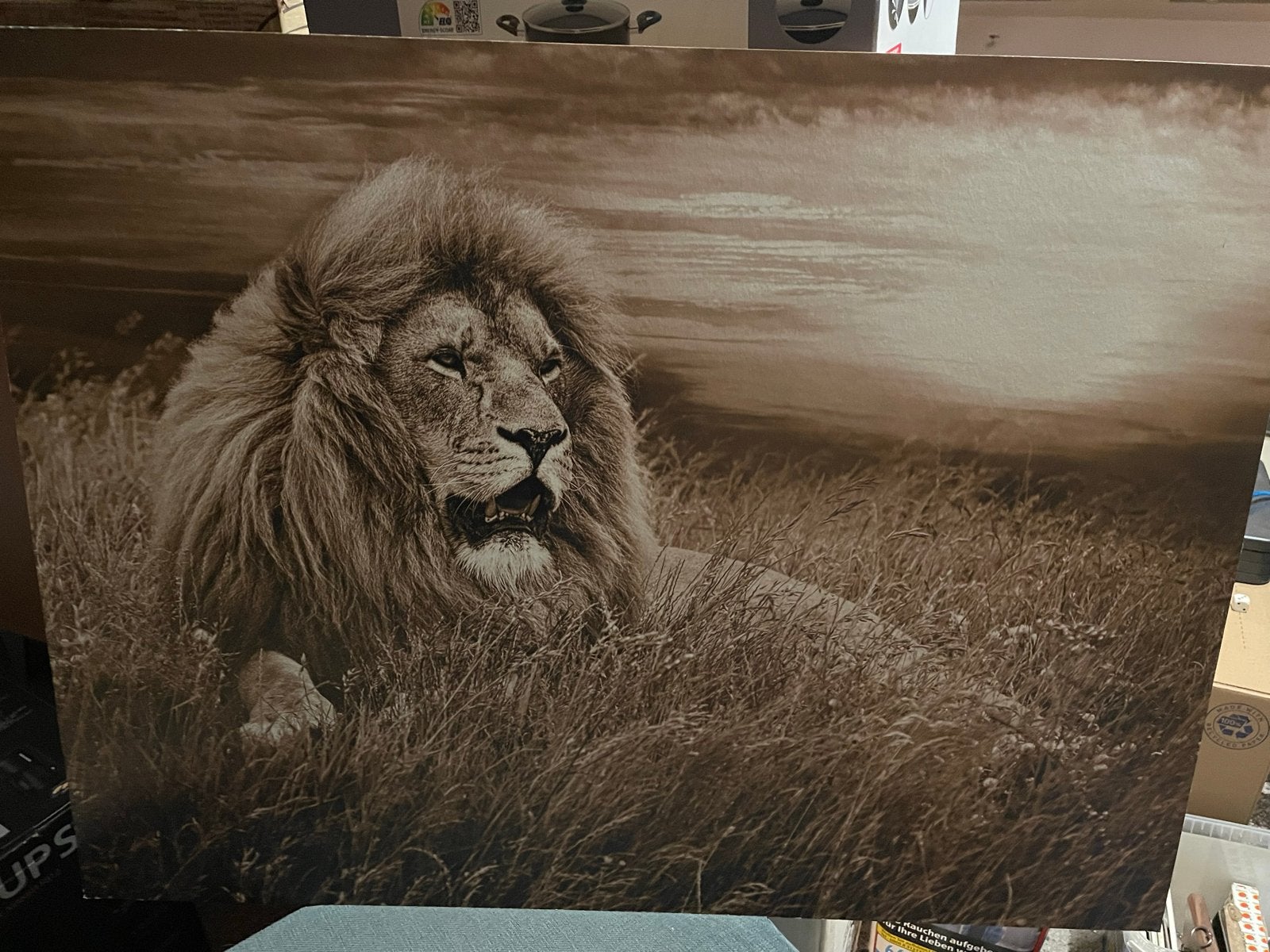 Houten schilderij leeuw in sepia tinten, Ophalen, 50 – 75, Zo goed als nieuw, Schilderij