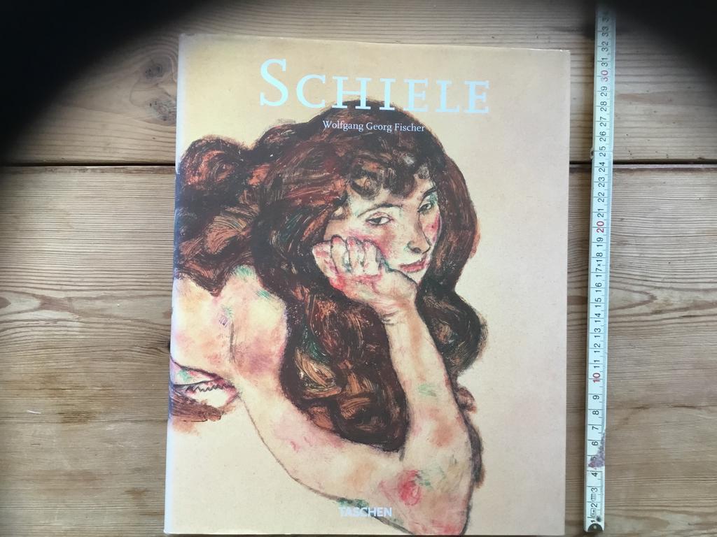 Kunstboek   EGON  SCHIELE.   €15.00, Boeken, Kunst en Cultuur | Beeldend, Ophalen of Verzenden, Zo goed als nieuw