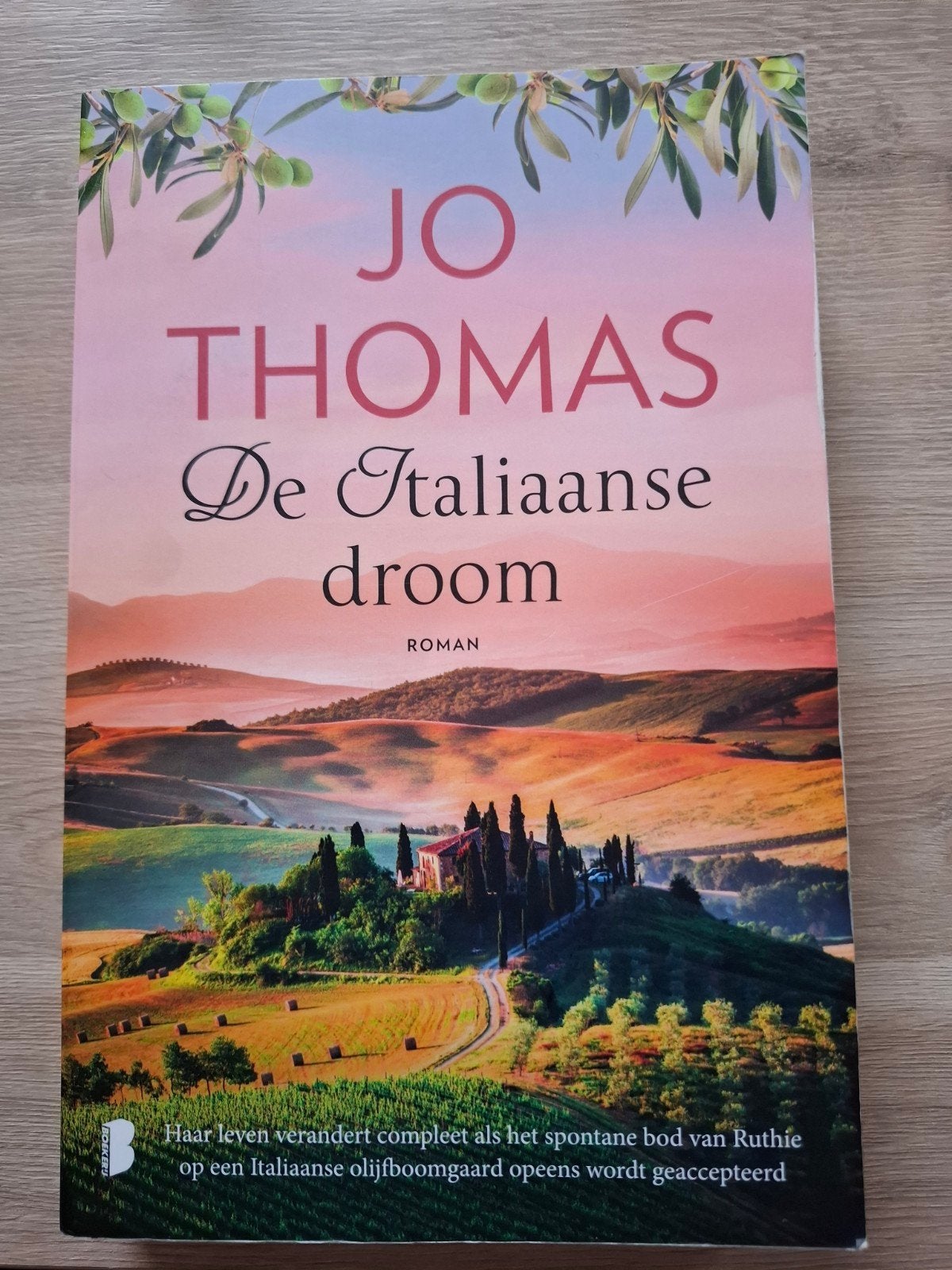 Jo Thomas - De Italiaanse droom, Ophalen of Verzenden, Zo goed als nieuw, Jo Thomas