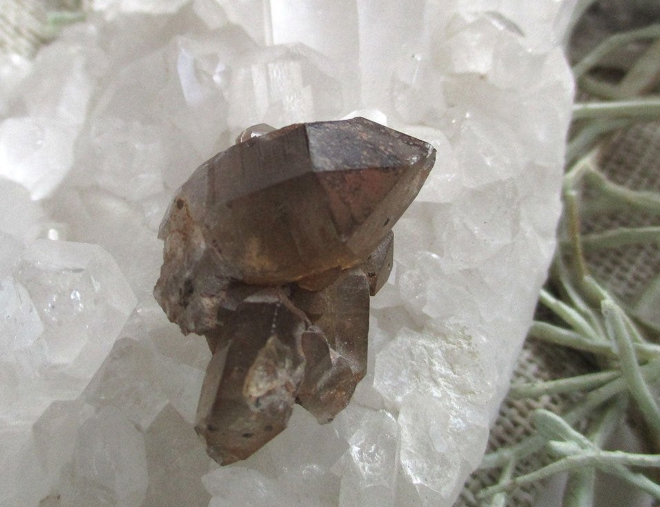 Rookkwarts cluster - micromount - Brandberg Namibia, Ophalen of Verzenden, Mineraal