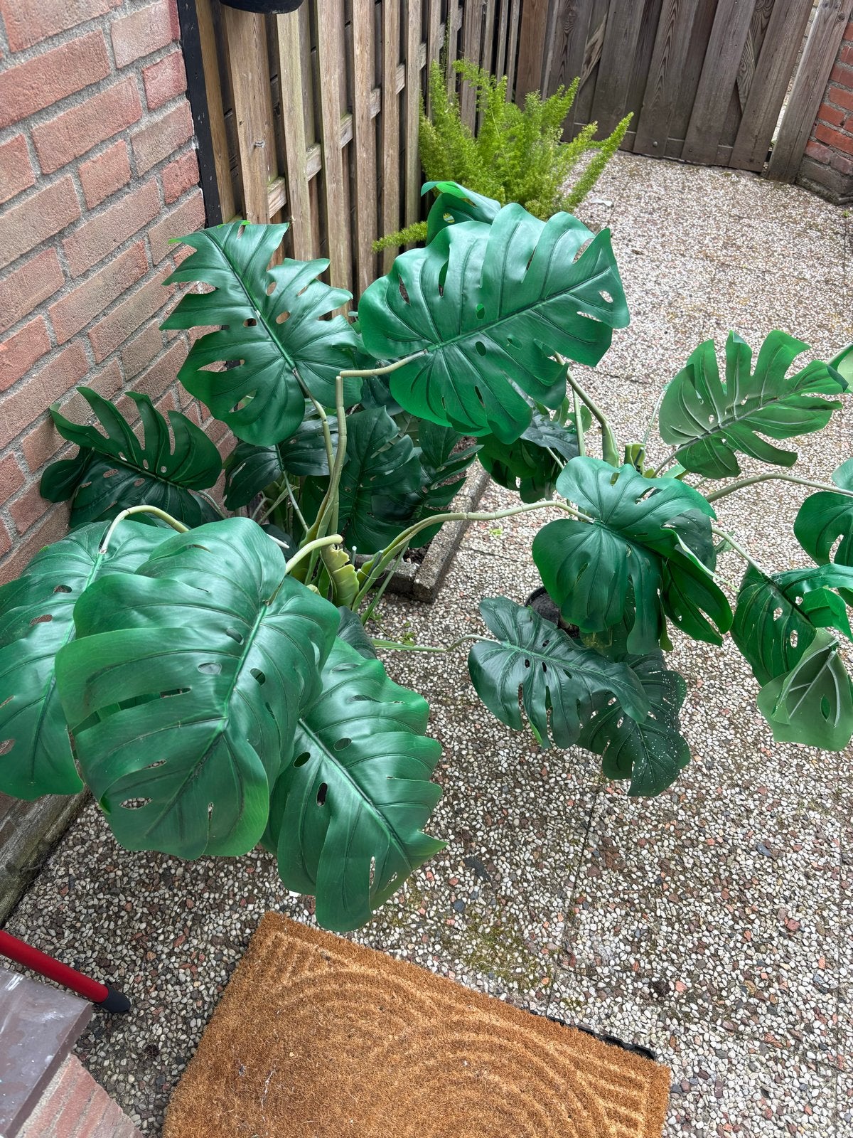 Kunst Monstera Plant x3, Ophalen, Binnen, Kunstplant, Kunststof