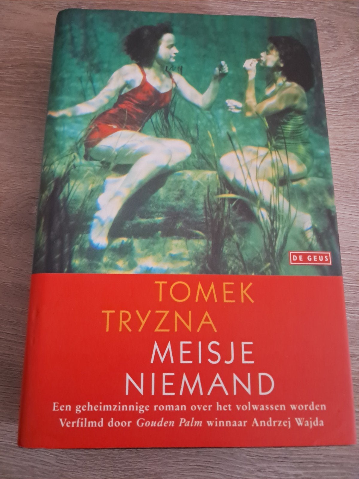 E3 Tomek Tryzna - Meisje Niemand (Roman), Ophalen of Verzenden, Gelezen, Tomek Tryzna, Europa overig