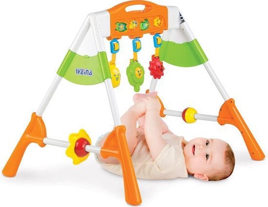 4 in 1 babygym, Ophalen, Gebruikt
