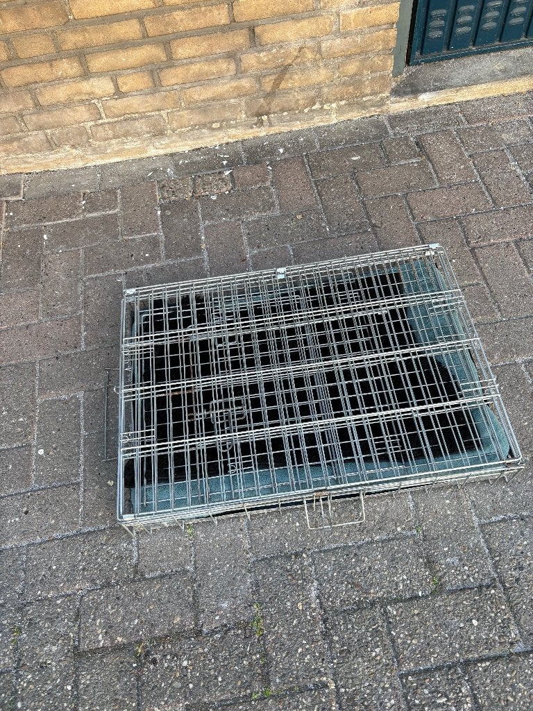 Hondenmand en bench, Dieren en Toebehoren, Ophalen, Zo goed als nieuw, Polyester