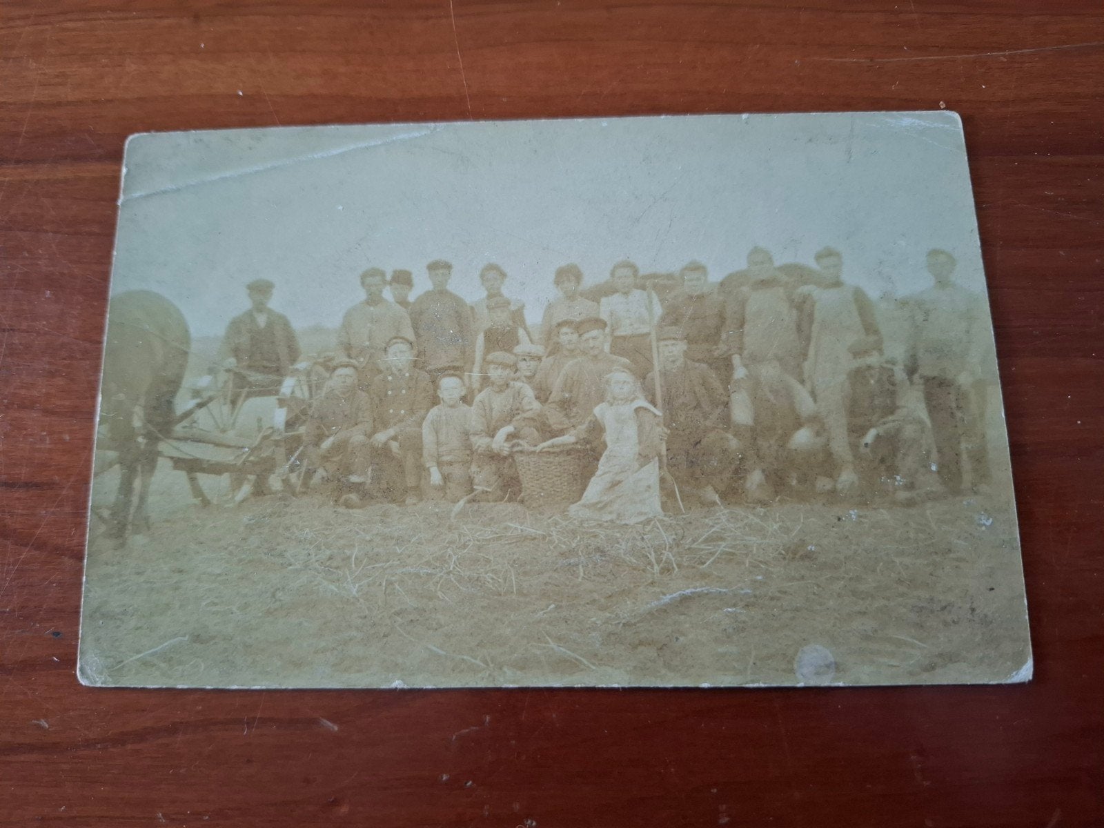 Antieke foto aardappelrooiers Drenthe/Groningen 1900, Ophalen of Verzenden, Voor 1920, Ongelopen