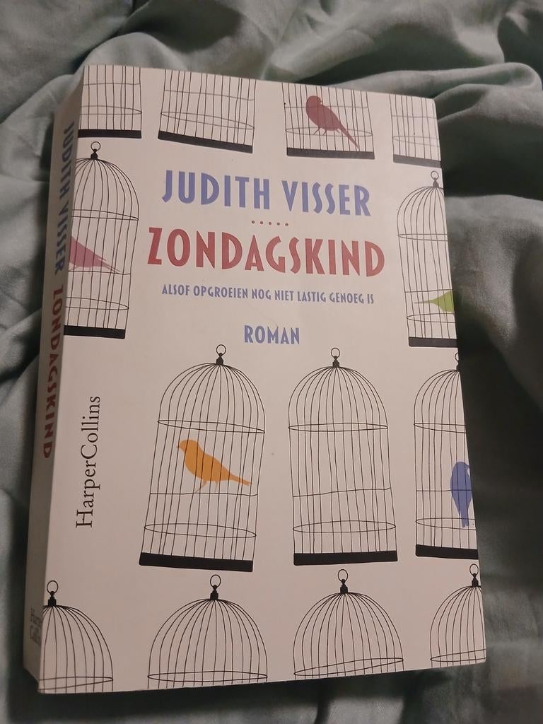 Zondagskind - Judith Visser (Roman), Boeken, Romans, Ophalen of Verzenden