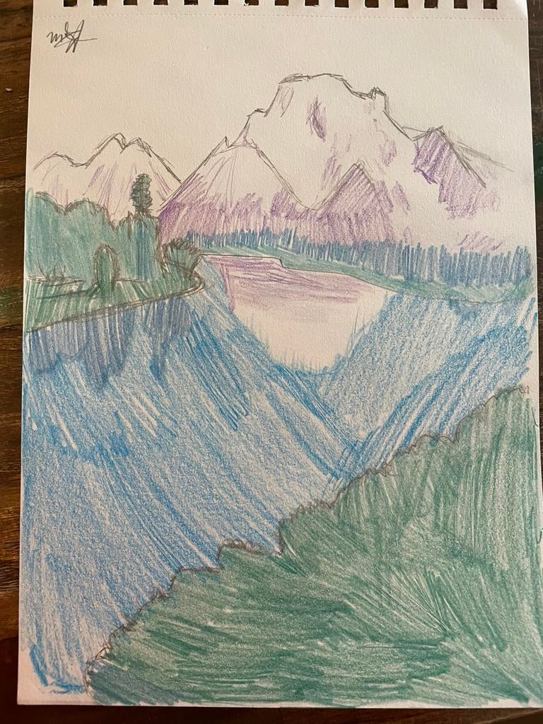 Potloodtekening Landschap, Hobby en Vrije tijd, Ophalen of Verzenden, Zo goed als nieuw
