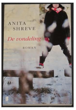 Anita Schreve - De vondeling, Ophalen of Verzenden, Zo goed als nieuw, Anita Schreve