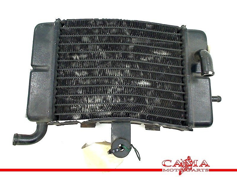 Radiateur Honda XL 600 V Transalp 1991-1993 (XL600V PD06), Honda Center GmbH, Gebruikt, Info@honda.de, Hanauer Landstraße  222-224, Frankfurt am Main 60314, , Duitsland