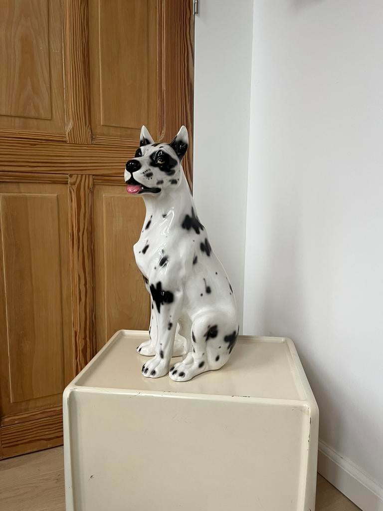 Beeld hond, Ophalen of Verzenden, Zo goed als nieuw