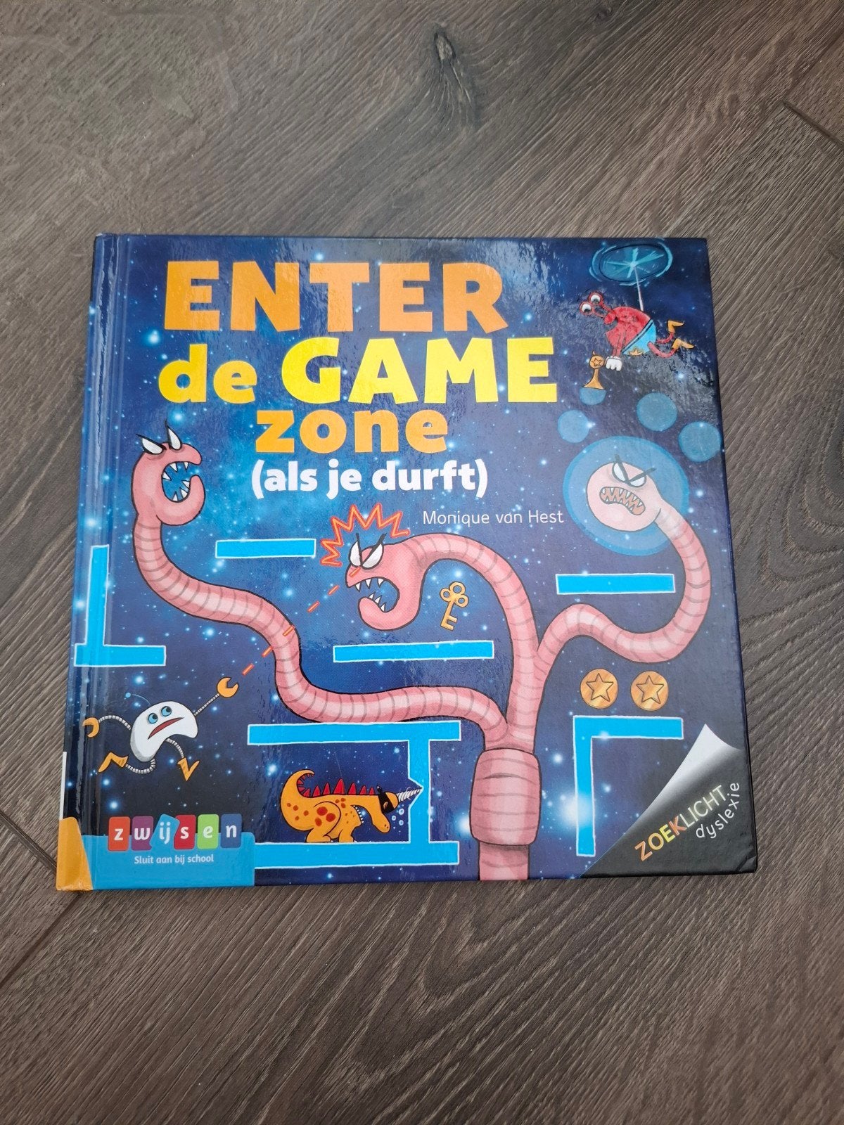 Zoeklicht dyslexie - ENTER DE GAME ZONE, Ophalen of Verzenden, Zo goed als nieuw, Monique van Hest, Non-fictie