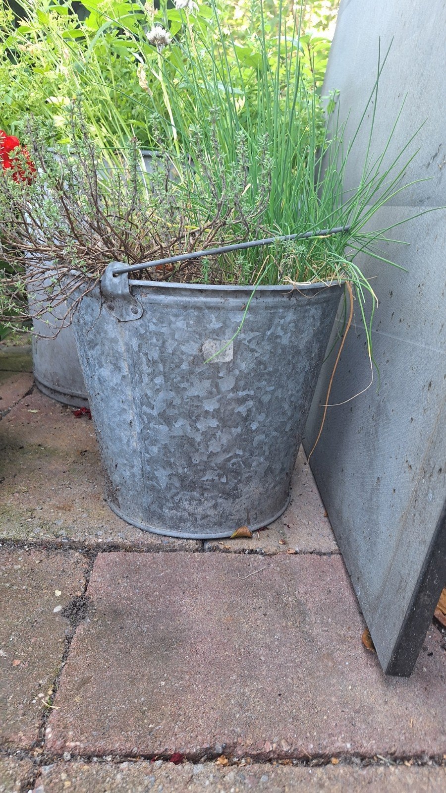 Zinken emmer met kruidenplanten, Tuin en Terras, Bloembakken en Plantenbakken, Gebruikt, Minder dan 60 cm, Rond, Ophalen of Verzenden