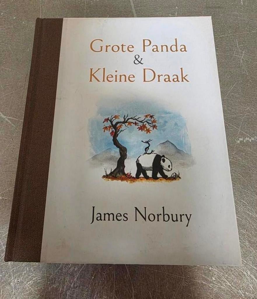 Boek :  GROTE PANDA & KLEINE DRAAK( voor jong en oud), Ophalen of Verzenden, Nieuw, Overige onderwerpen