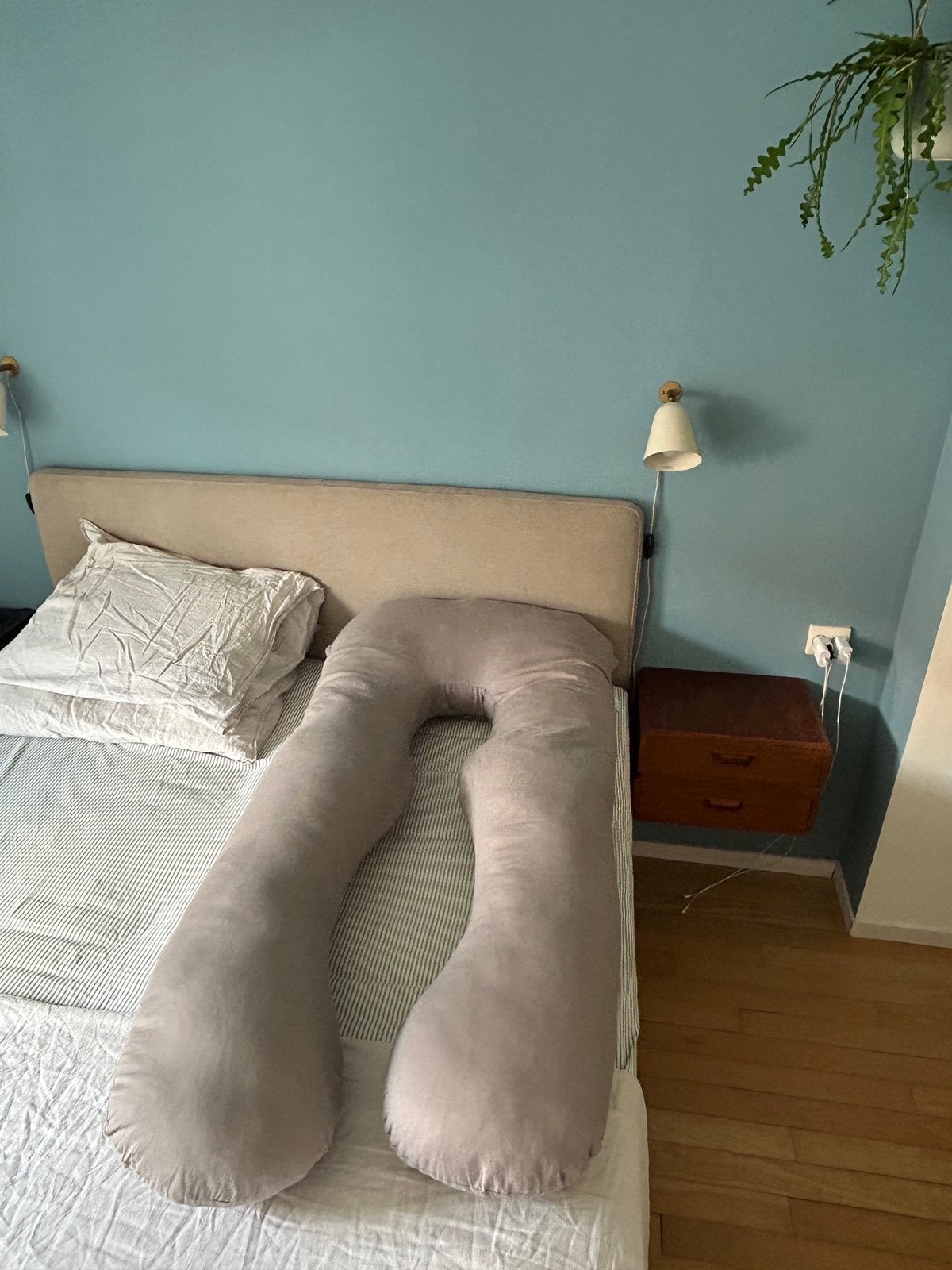 Nieuw Litollo Zwangerschapskussen, Ergonomisch, Nieuw, Ophalen of Verzenden, Overige merken