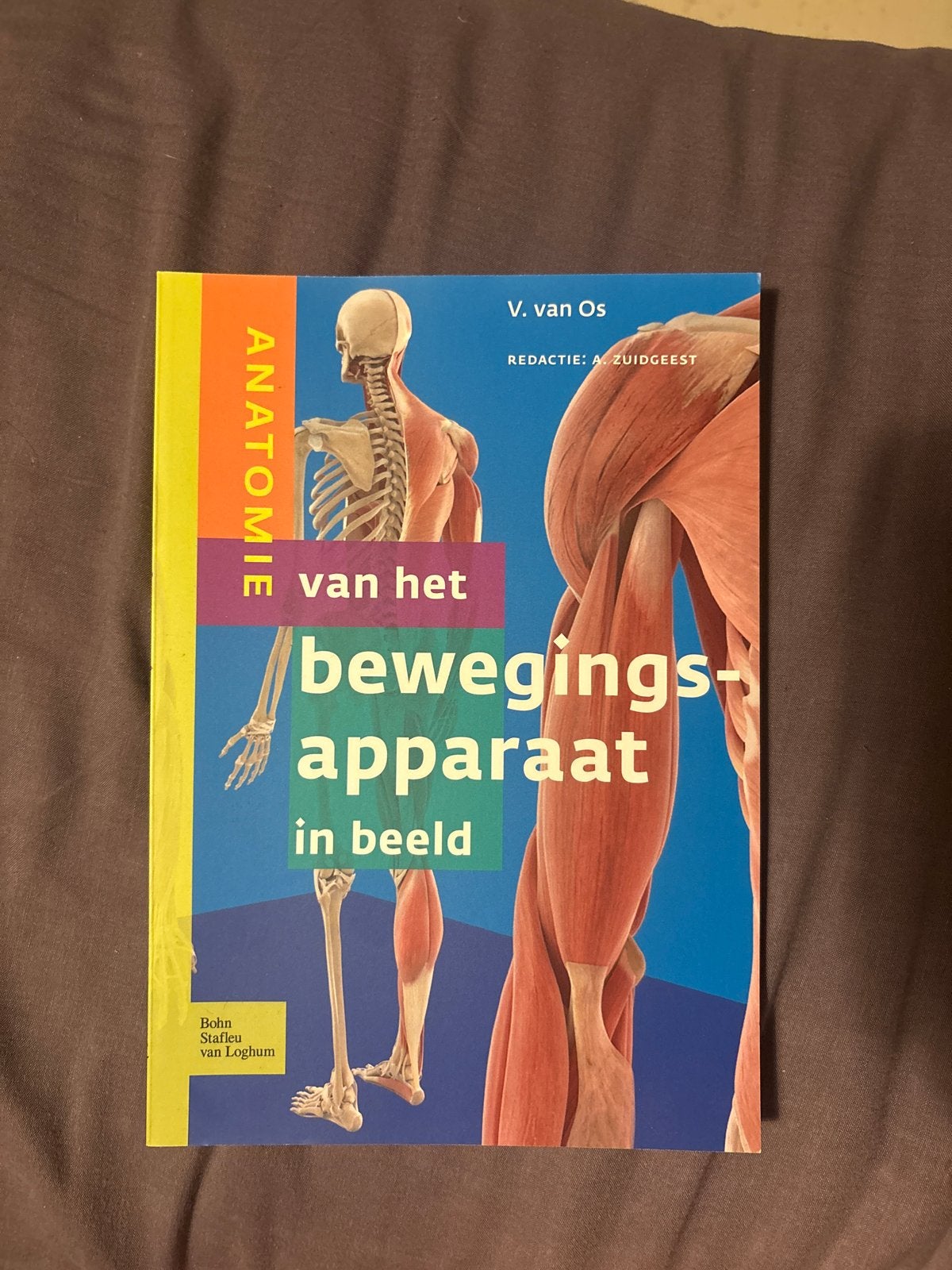 Anatomie van het bewegingsapparaat in beeld - V. van Os, Boeken, Studieboeken en Cursussen, Ophalen of Verzenden, Beta, Zo goed als nieuw
