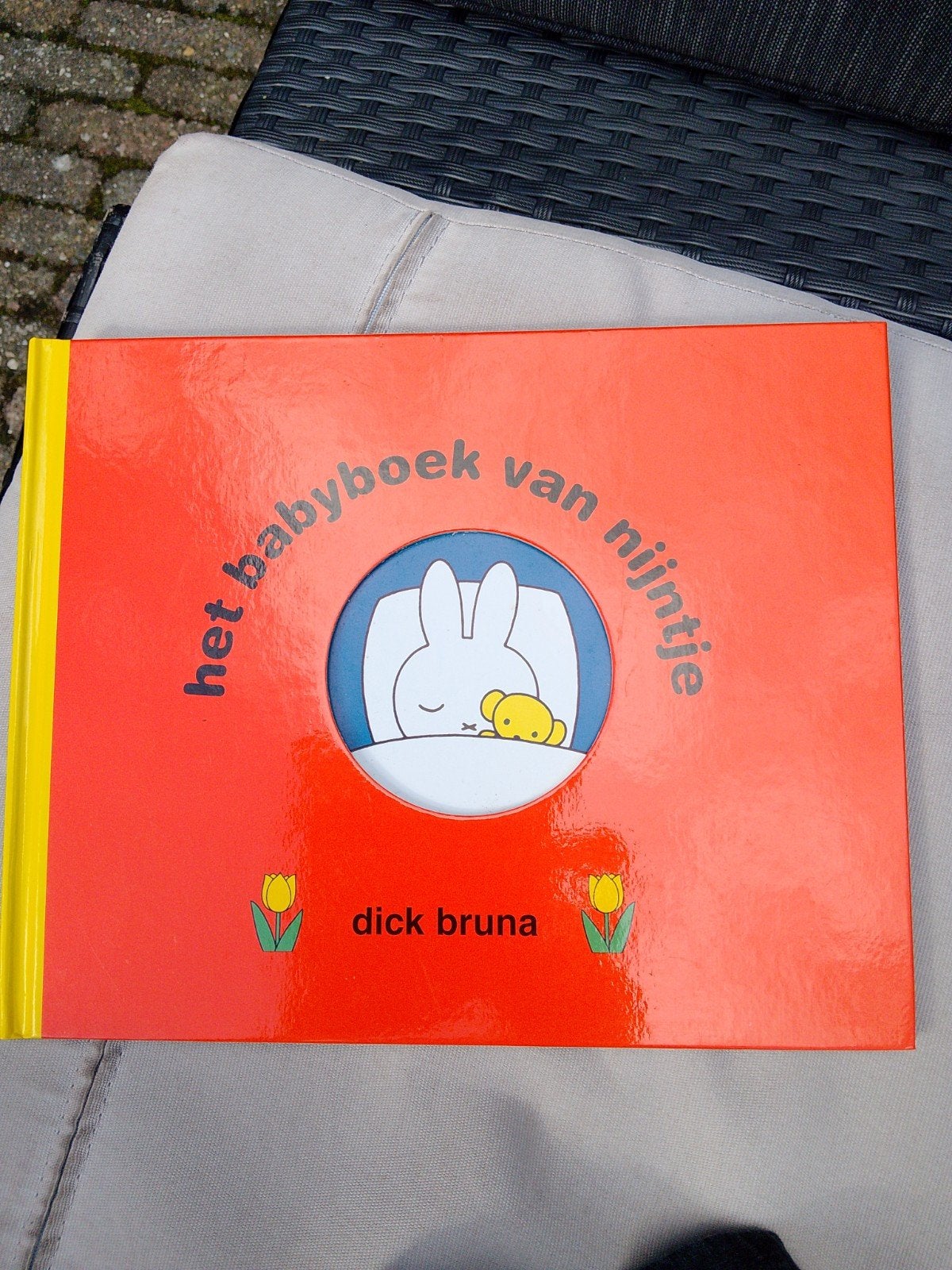 Het babyboek van nijntje - Dick Bruna, Nieuw, Ophalen of Verzenden, 0 tot 6 maanden, Dick Bruna