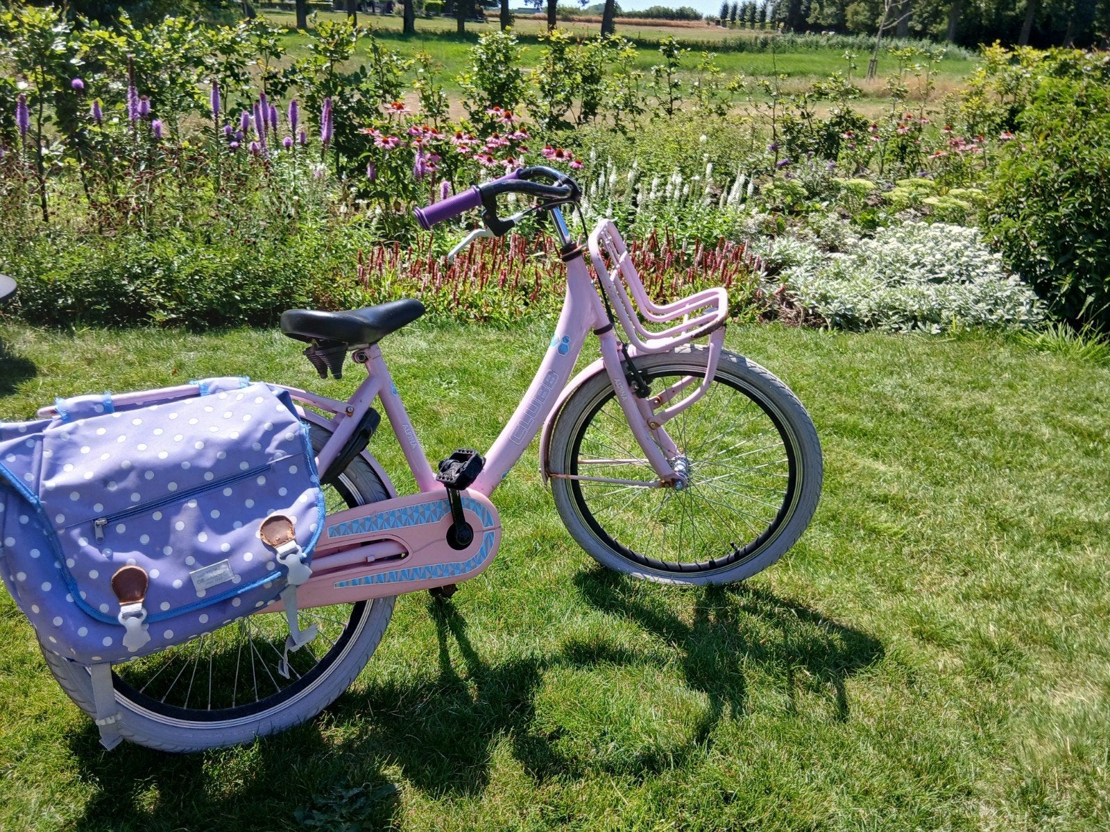 Roze meisjesfiets Alpina  Clubb| 22 inch, Fietsen en Brommers, Ophalen, Terugtraprem, 22 inch, Gebruikt