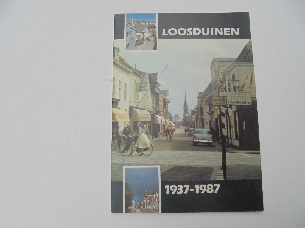 Loosduinen geschiedenis (R-4-15), Boeken, Geschiedenis | Stad en Regio, Ophalen, Zo goed als nieuw