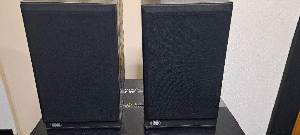 BNS luidsprekers, Audio, Tv en Foto, Luidsprekers, Gebruikt, 60 tot 120 watt, Front, Rear of Stereo speakers, Ophalen