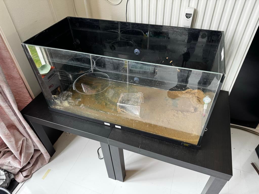 Aquarium 80 liter, Ophalen, Leeg aquarium