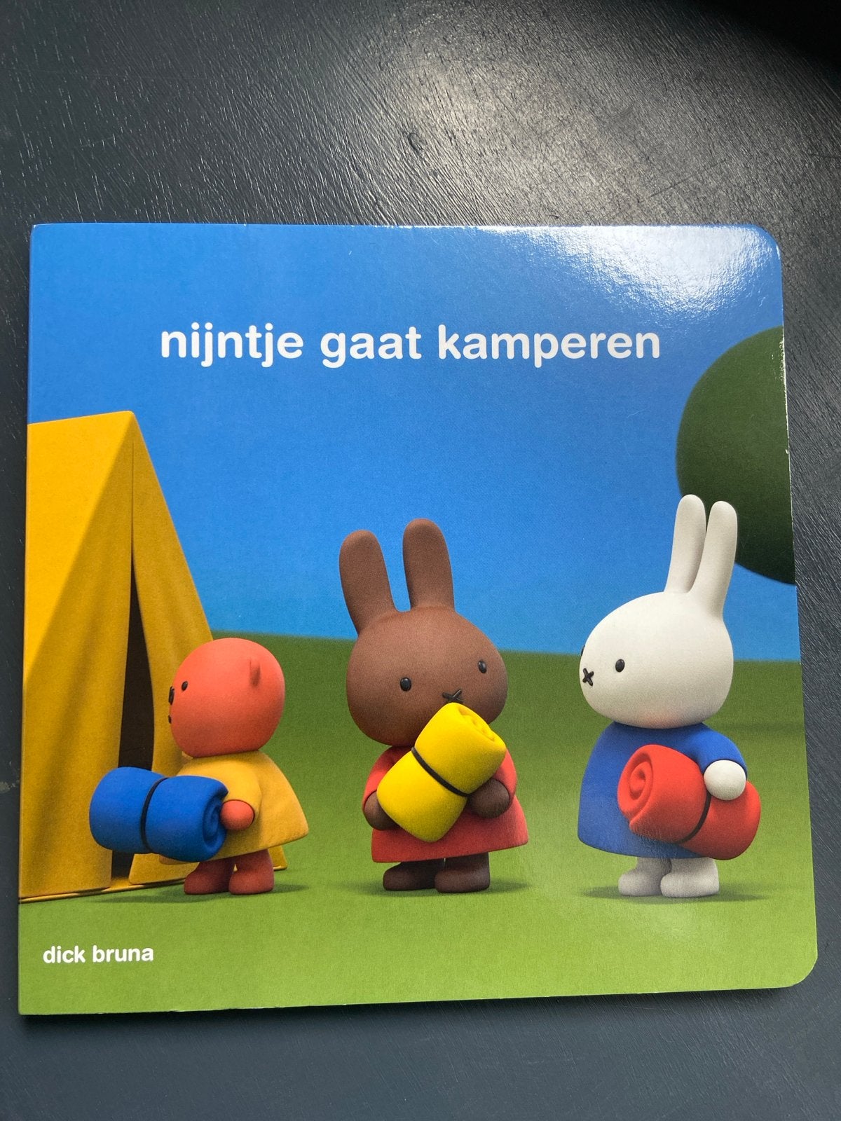 Nijntje gaat kamperen - Zo goed als nieuw, Ophalen of Verzenden, Zo goed als nieuw, 0 tot 6 maanden