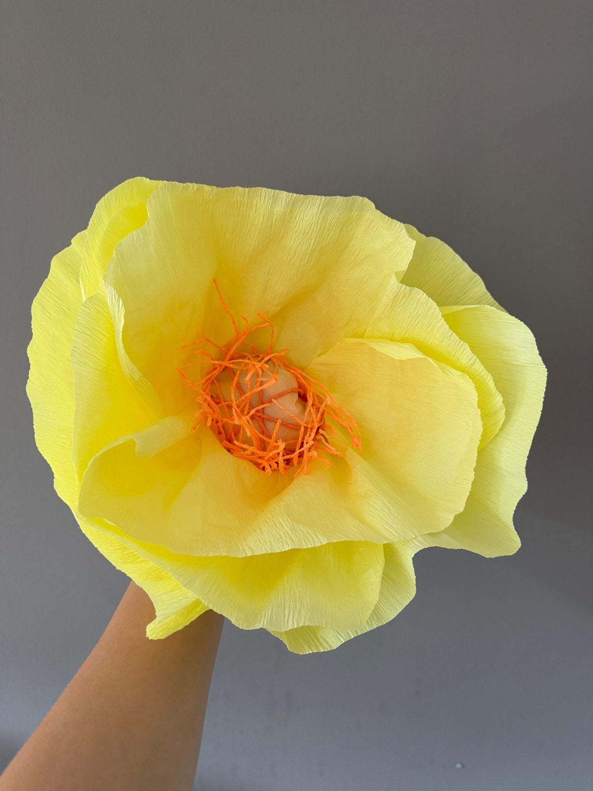 Bloemen van crepe papier, Binnen, Nieuw, Ophalen of Verzenden, Handgemaakt