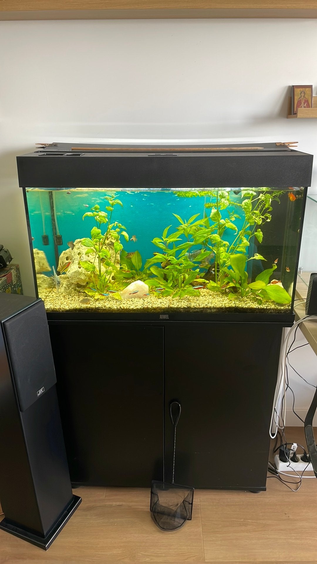 Juwel aquarium met vissen, Dieren en Toebehoren, Ophalen, Zo goed als nieuw, Gevuld zoetwateraquarium